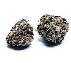 Vietnamese Black Cannabis Strain