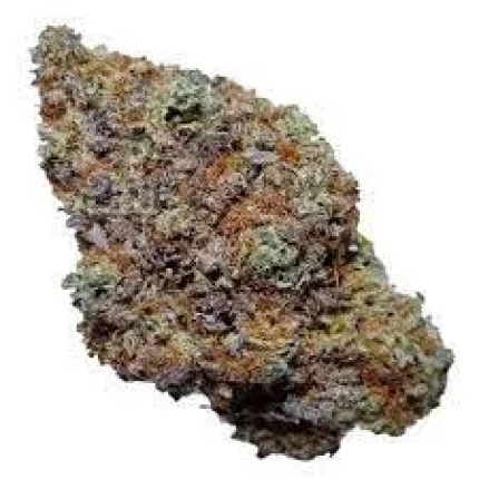 Vietnamese Black premium cannabis flower with dark purple and black hues
