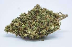Walkabout Weed Strain Online