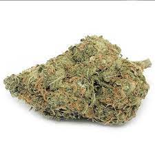 West Coast Diesel Marijuana Strain