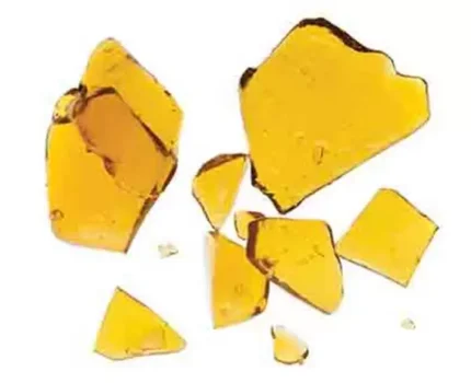 White Rhino Shatter