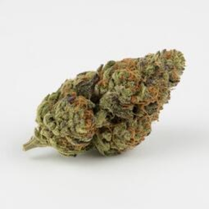 Wild Thailand cannabis buds premium flower