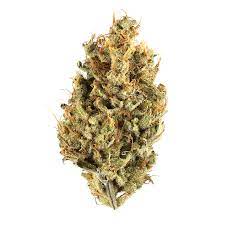 xj-13-cannabis-strain.jpg