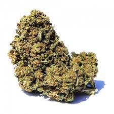 Zambian copper cannabis strain premium flower