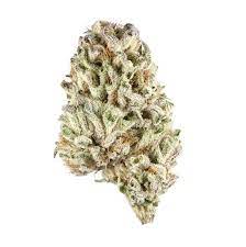 Zookies Marijuana Strain