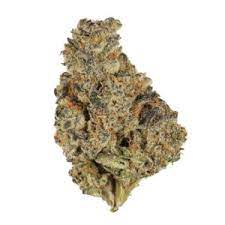Zurcules cannabis strain premium flower