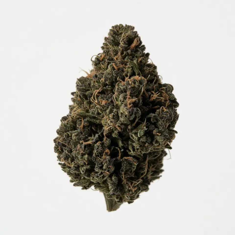 Black domina cannabis strain premium flower