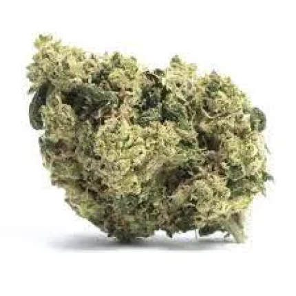 Golden Pineapple premium cannabis flower with golden hues and dense buds
