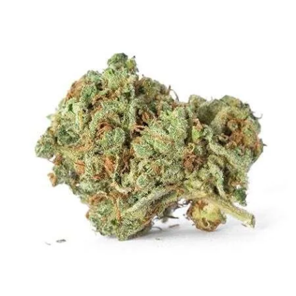 Mango Haze premium cannabis flower with vibrant green buds and orange pistils